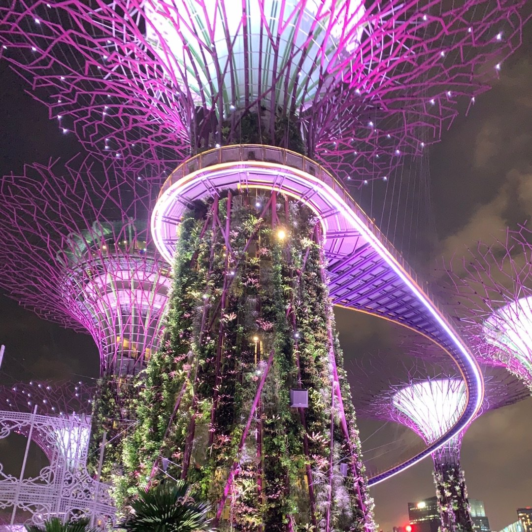 新加坡必去景点：星光璀璨的天空树Supe...
