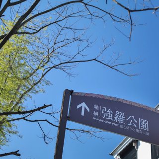 箱根攻略 | 天然野生温泉酒店推荐🌟🌟🌟...