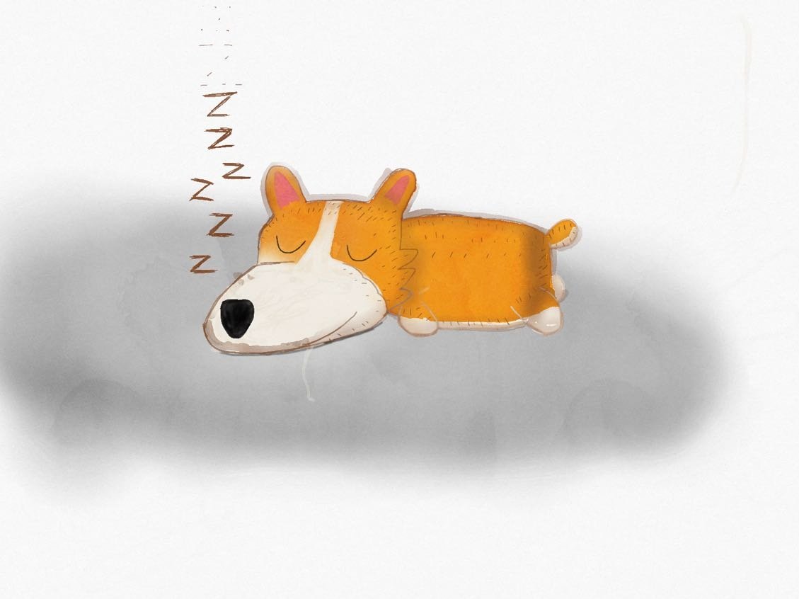 【新手绘画】瞌睡狗...