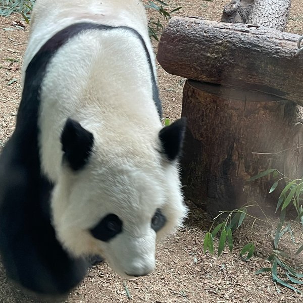 晒货图片