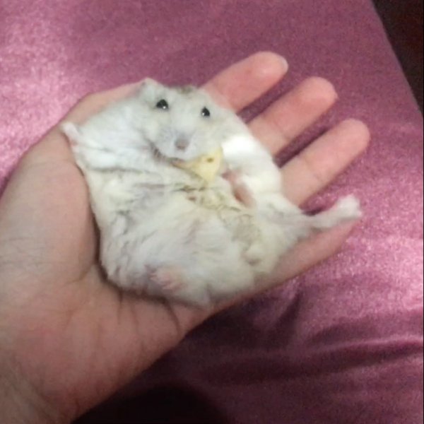 笔记图片
