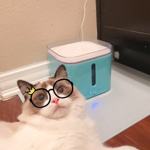 猫咪饮水机：小佩智能饮水机