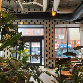 全纽约最爱，被绿植围绕的小众咖啡店...