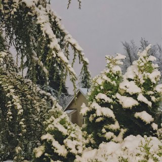 冬至第一场雪❄️｜吃汤圆看雪花｜特别的日...