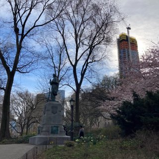 春日攝影｜ 紐約中央公園花都開好了...