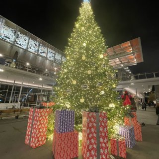 San Ramon 商場內的聖誕樹...