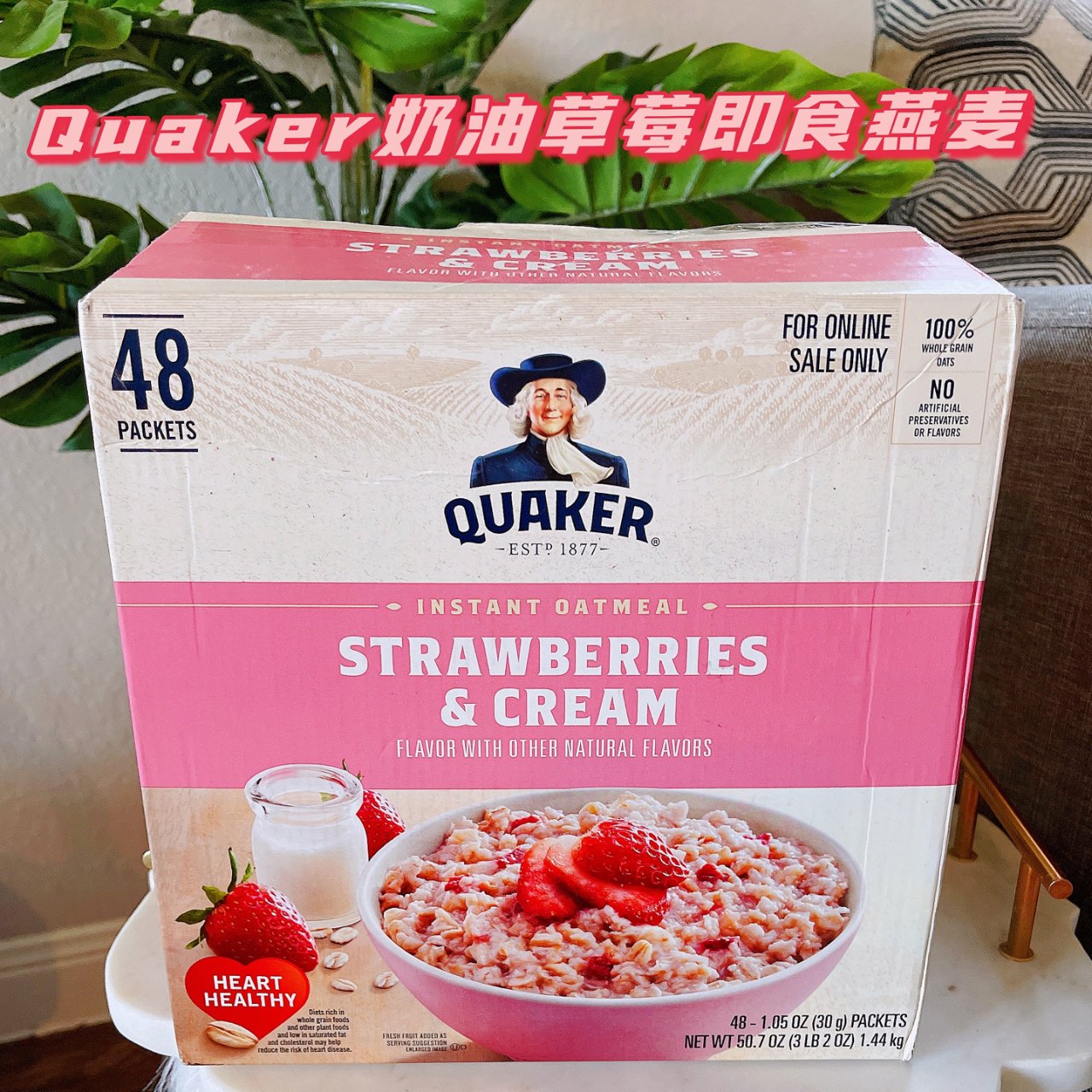 草莓奶油口味速溶早餐燕麦片  48包