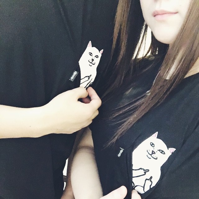 Ripndip