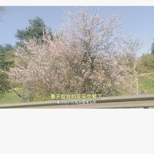 晒货图片