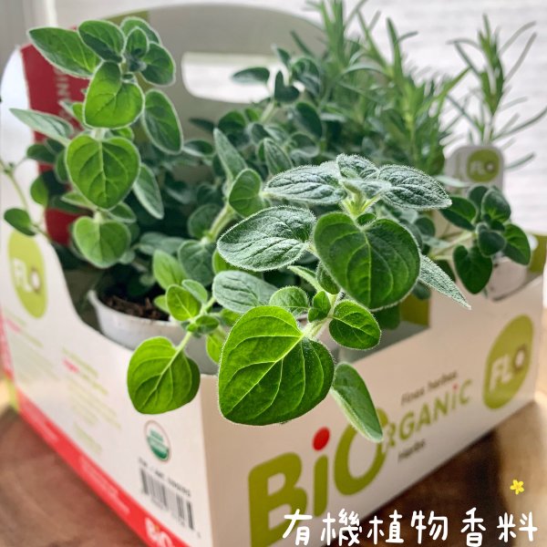 晒货图片