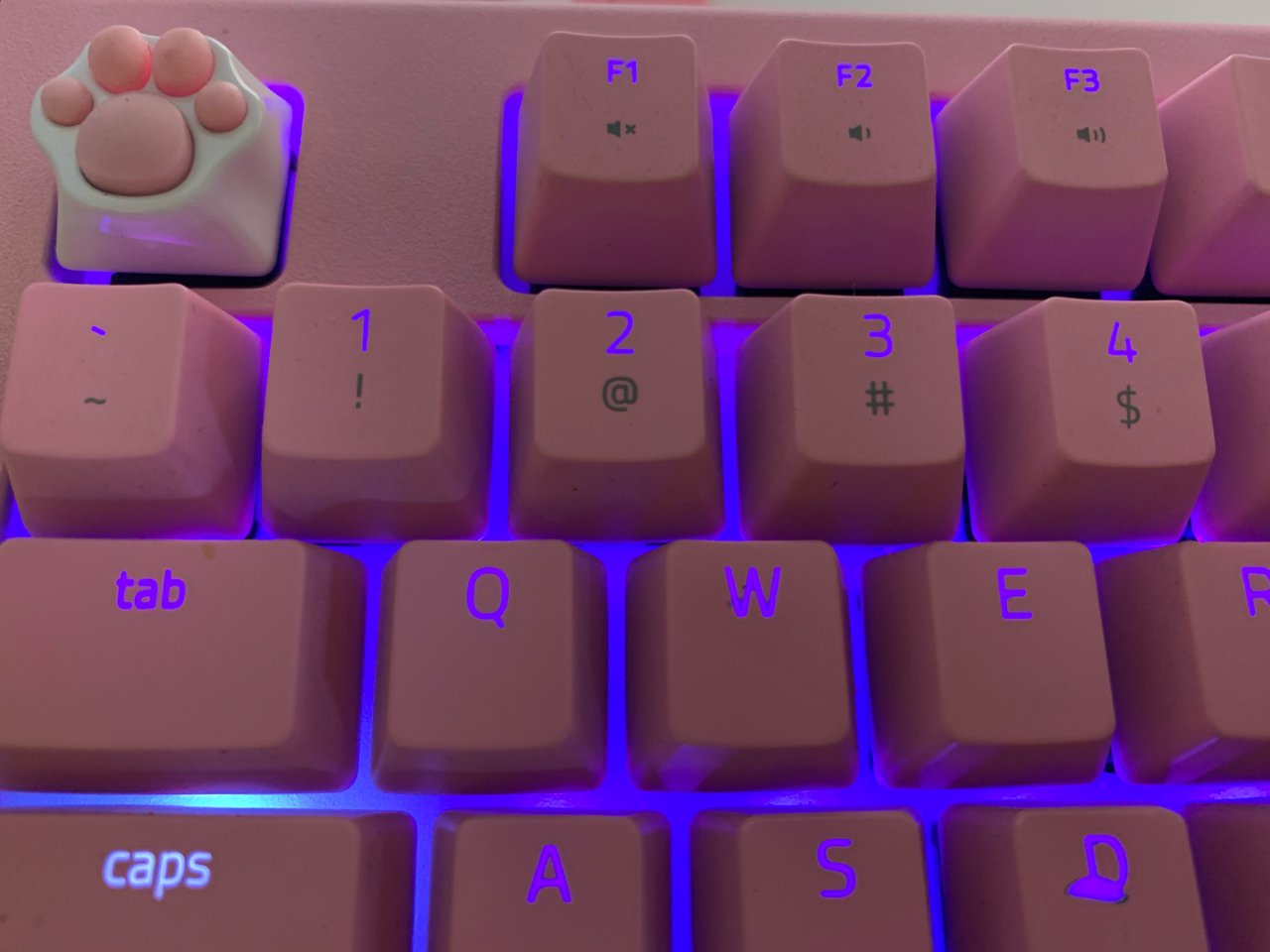 机械键盘,Razer 雷蛇,键帽,粉色,樱花元素,猫咪