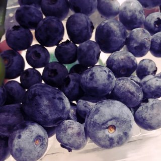 美味大藍莓