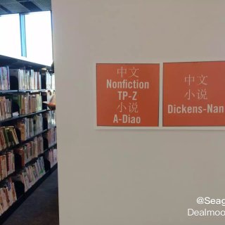 中国城里的芝加哥公众图书馆📚...