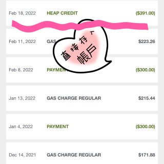 紐約人注意！發💡電煤補貼啦！!...