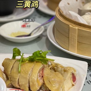 法拉盛上海菜