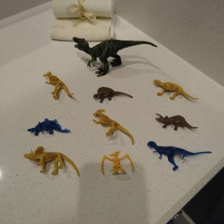 恐龙化石DIY