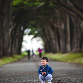 儿童摄影｜cypress tree tu...