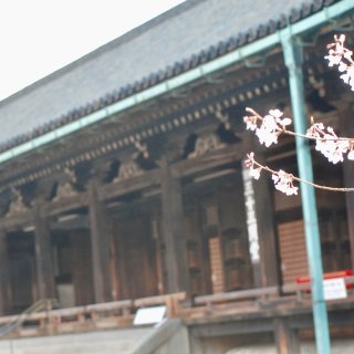 日本旅行回忆之京都三十三间堂，小众经典，...