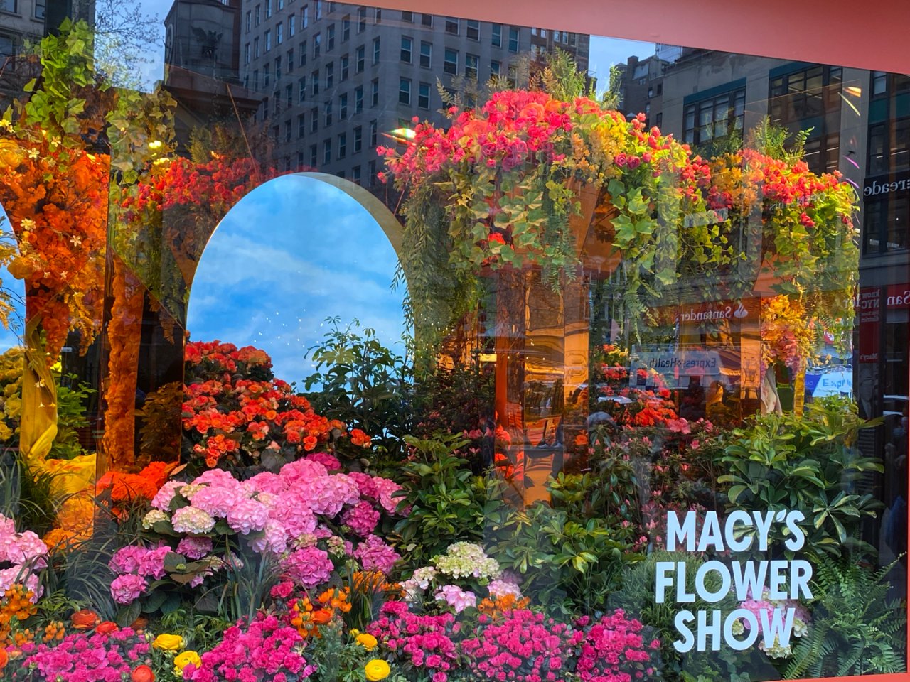 纽约 Flower Show