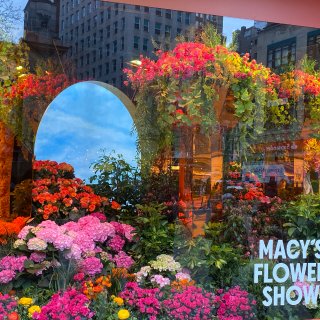 纽约 Flower Show