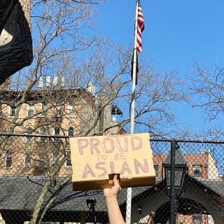 亲历：亚裔反歧视游行，纽约🍎集会！
...