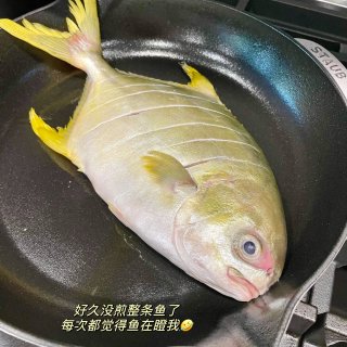 $20过一天｜全鱼➕土豆丝➕炒青菜🥬...