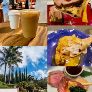 夏威夷欧胡岛❤️感恩节爬山‼️吃超惊艳的...