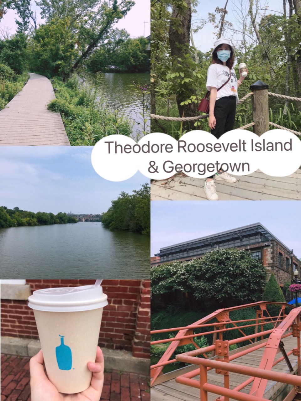 Georgetown,Blue Bottle Coffee,Theodore Roosevelt Island