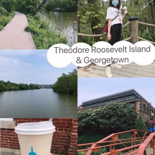 Georgetown,Blue Bottle Coffee,Theodore Roosevelt Island