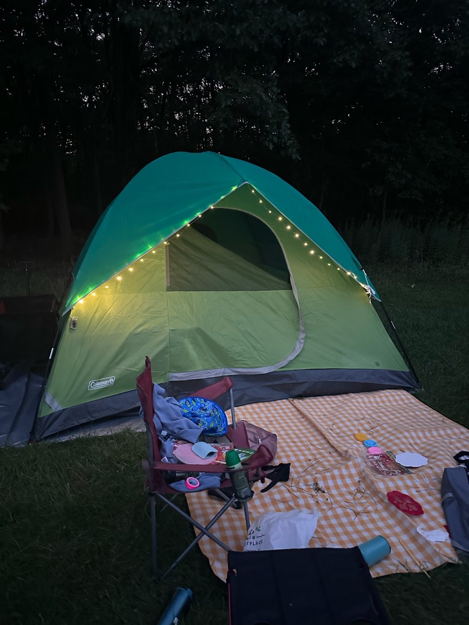 Coleman 6-Person Sundome Tent, Spruce Green : Everything Else