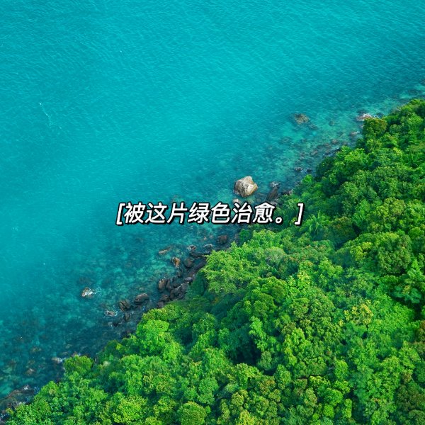 晒货图片