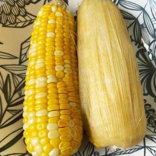 玉米🌽的季节又到了...