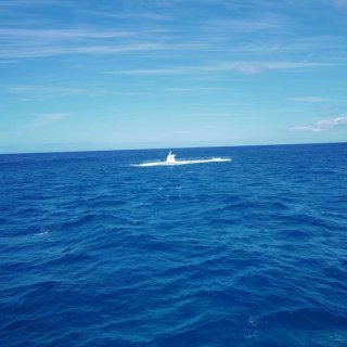 🌺夏威夷 l 老少咸宜 潜水艇看沉船坠机...