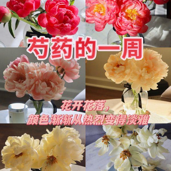 晒货图片