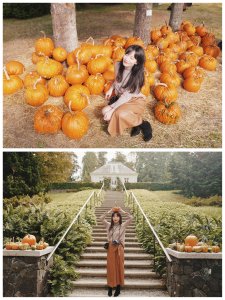Pumpkin Patch▪️南瓜农场攻略🎃南瓜滤镜🎃