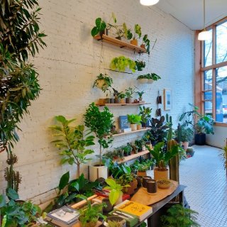 西雅图治愈系☕小众绿植咖啡厅🪴ROOT...