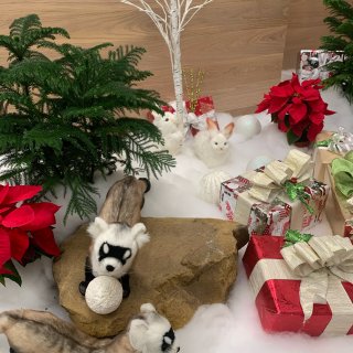 小動物🎄聖誕裝飾🎄...
