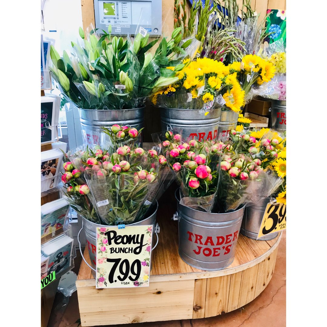 两个月第一次去超市看看这暮春初夏的花儿 北美省钱快报dealmoon Com 晒货