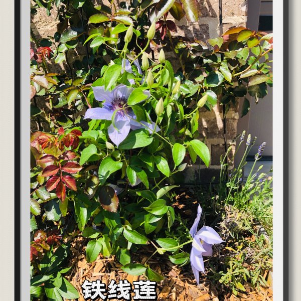 晒货图片