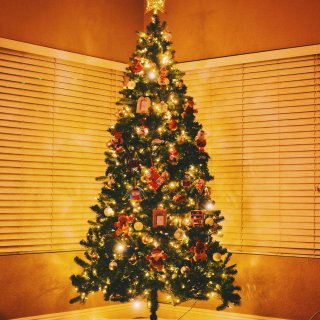 暖暖的🎄🌟圣诞树装扮✨🦌🧶ᶜᴴᴿᴵˢᵀᴹ...