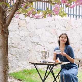 #四月宅家季3# 樱花树下的下午茶，时局...