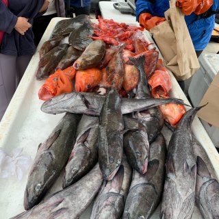 🐟 Fish Market