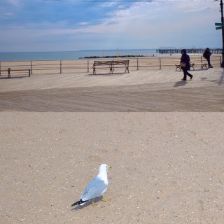 【三月的Coney Island】...