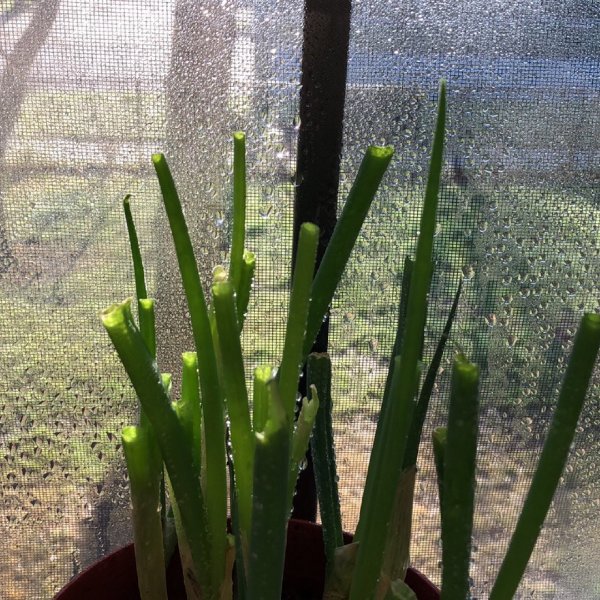 晒货图片