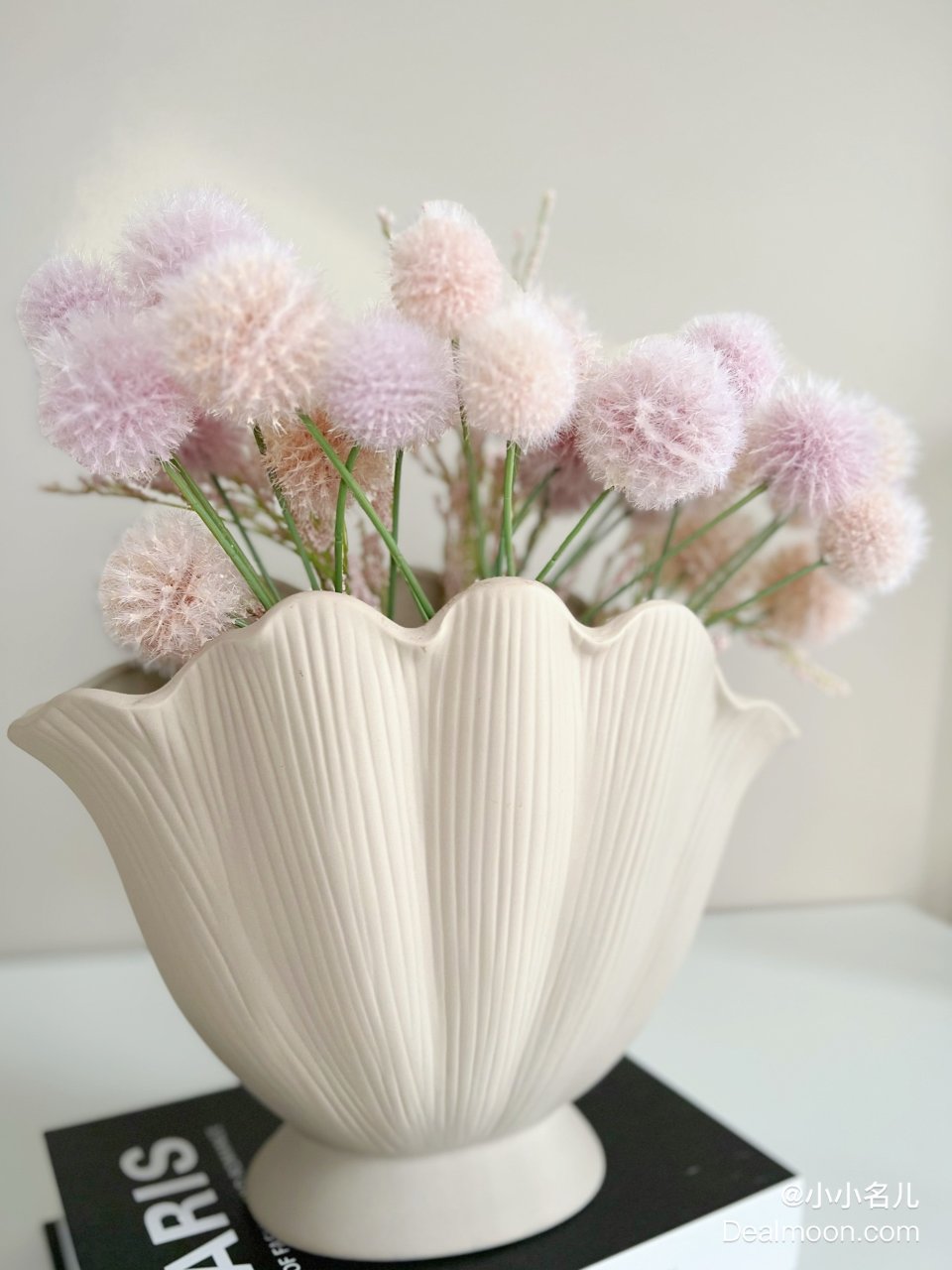 给HM的贝壳花瓶找到了属于它的花花...