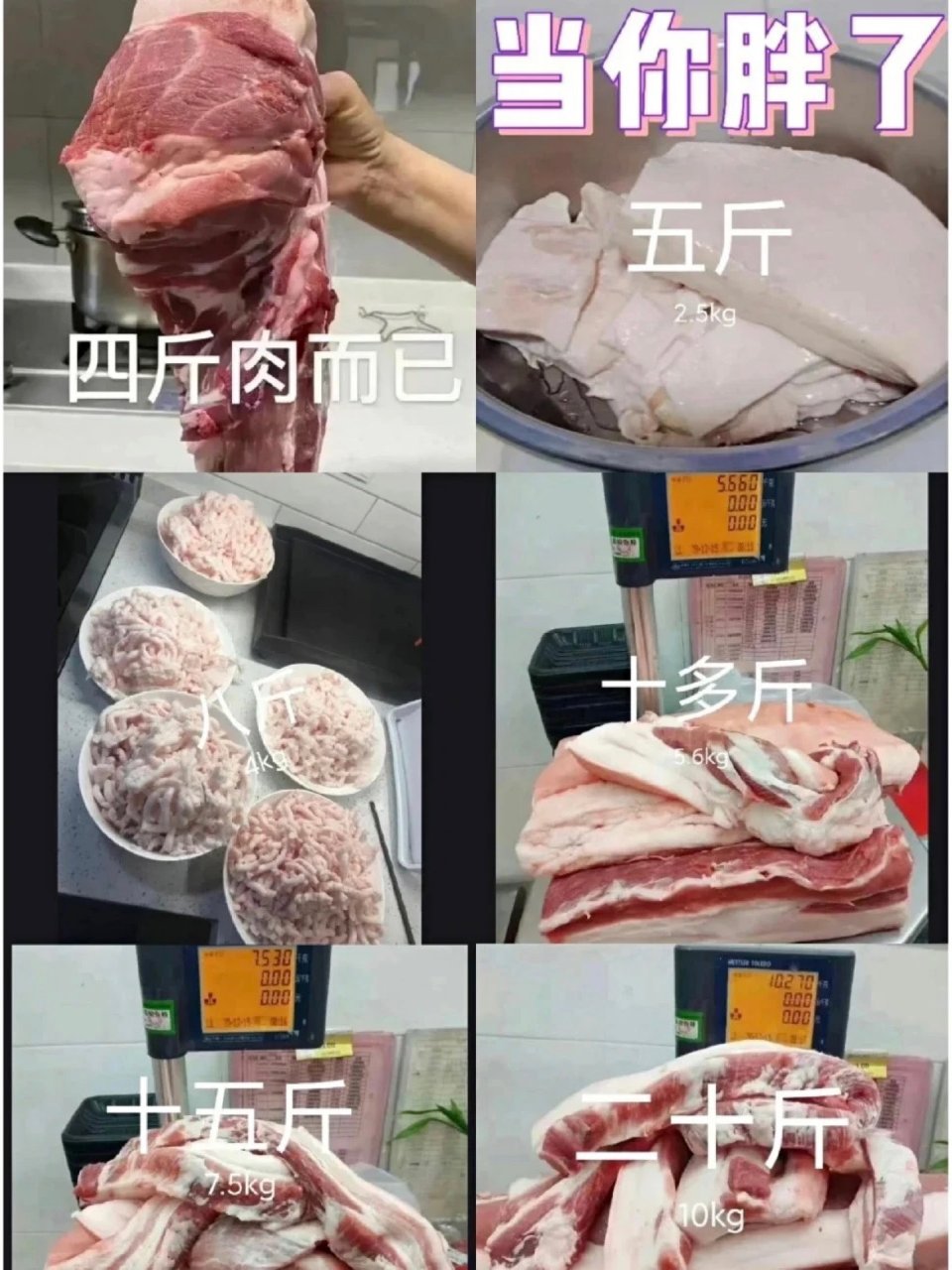 肉肉