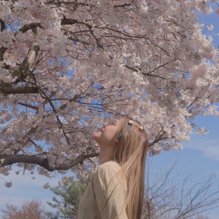 一年一度🌸｜和粉嫩的樱花拍个照—VSCO...