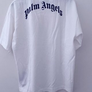 Palm Angles T