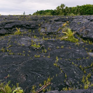 夏威夷｜火山岩与大海仿佛是时间的尽头🌋...