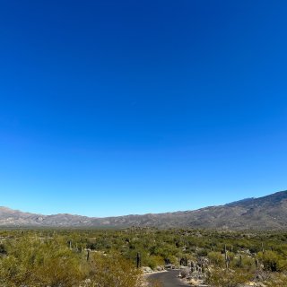 图森 巨人柱公园Saguaro Nati...